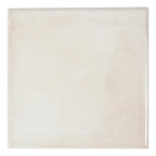Nerida Canvas Glossy 5.9" Porcelain Pool Tile | Tile Club