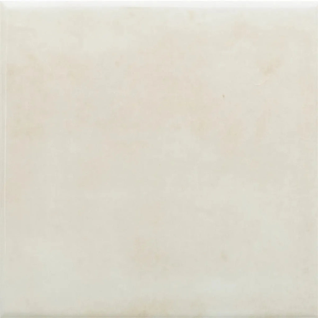 Nerida Canvas Glossy 5.9" Porcelain Pool Tile | Tile Club