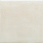 Nerida Canvas Glossy 5.9" Porcelain Pool Tile | Tile Club