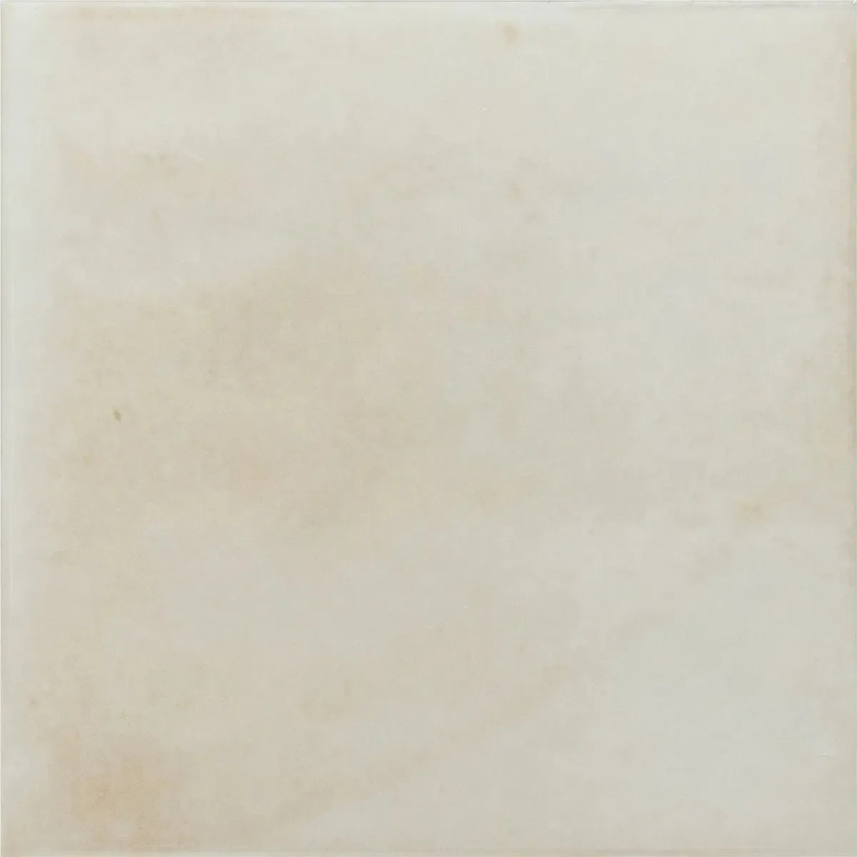 Nerida Canvas Glossy 5.9" Porcelain Pool Tile | Tile Club