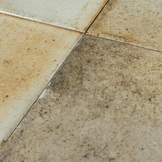 Nerida Celadon Glossy 5.9" Porcelain Pool Tile | Tile Club