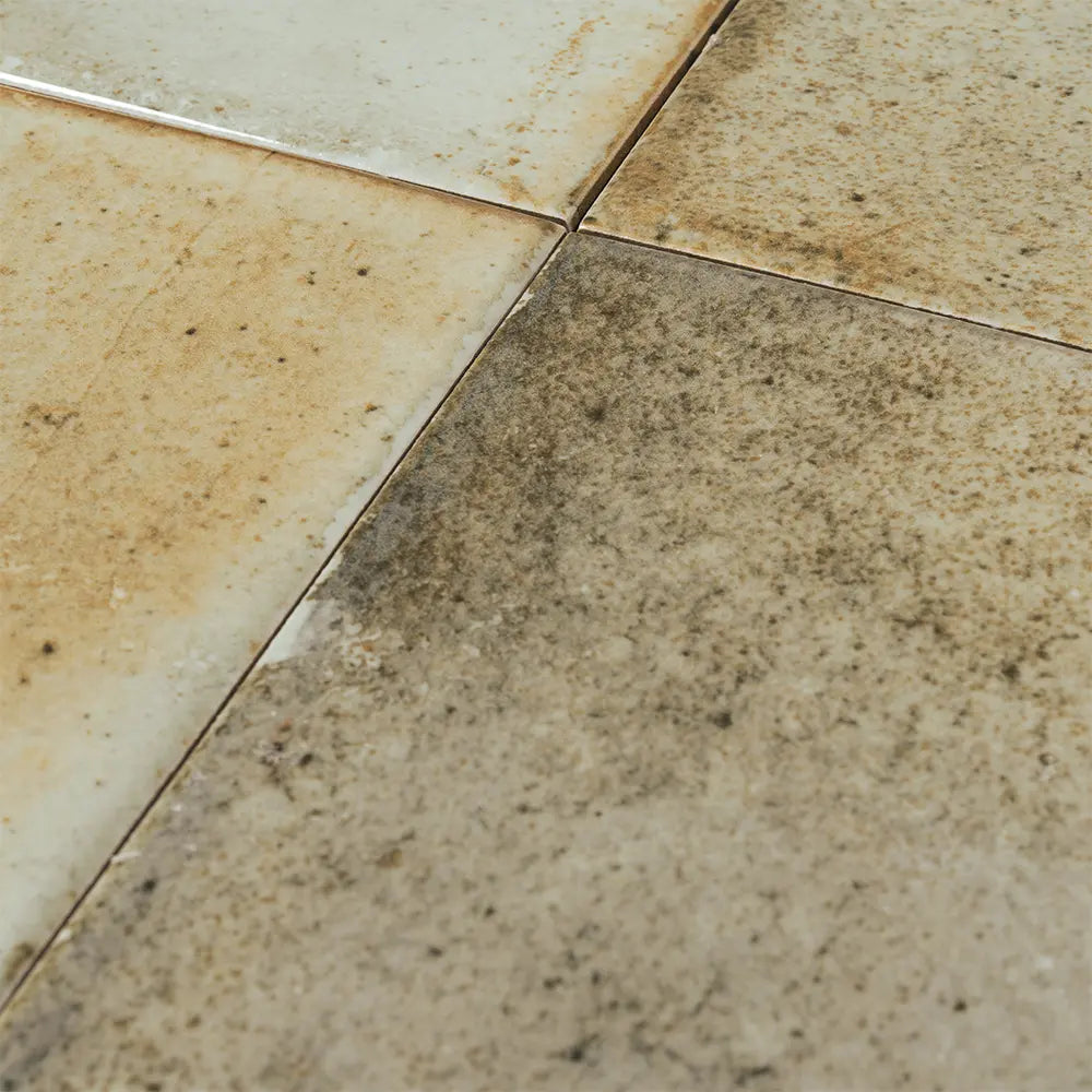 Nerida Celadon Glossy 5.9" Porcelain Pool Tile | Tile Club