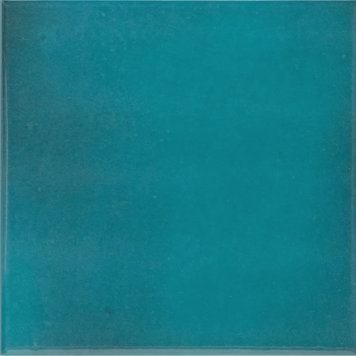 Nerida Glacier Glossy 5.9" Porcelain Pool Tile | Tile Club