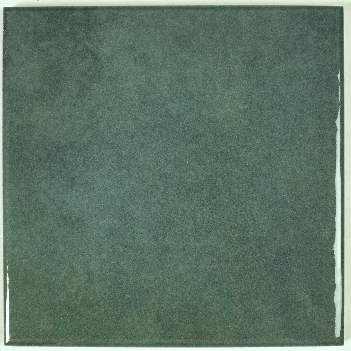 Nerida Green Glossy 5.9 Porcelain Tile Sample | Tile Club