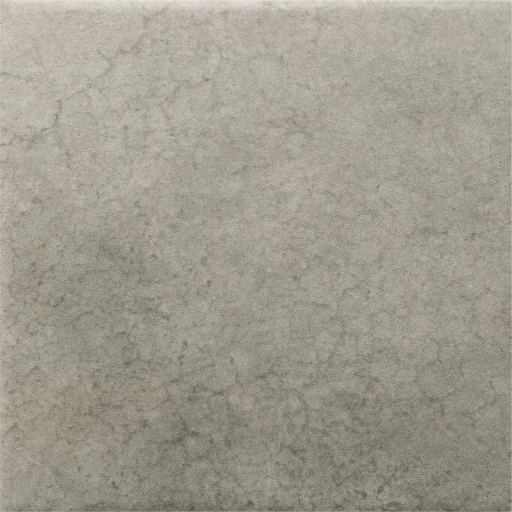 Nerida Shadow Matte 5.9" Porcelain Pool Tile | Tile Club