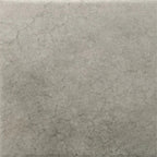 Nerida Shadow Matte 5.9" Porcelain Pool Tile | Tile Club