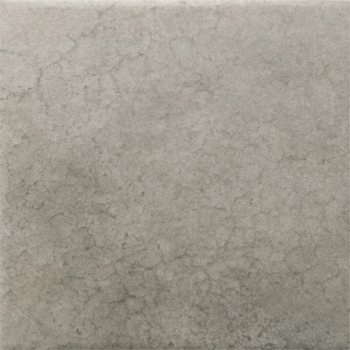 Nerida Shadow Matte 5.9" Porcelain Pool Tile | Tile Club
