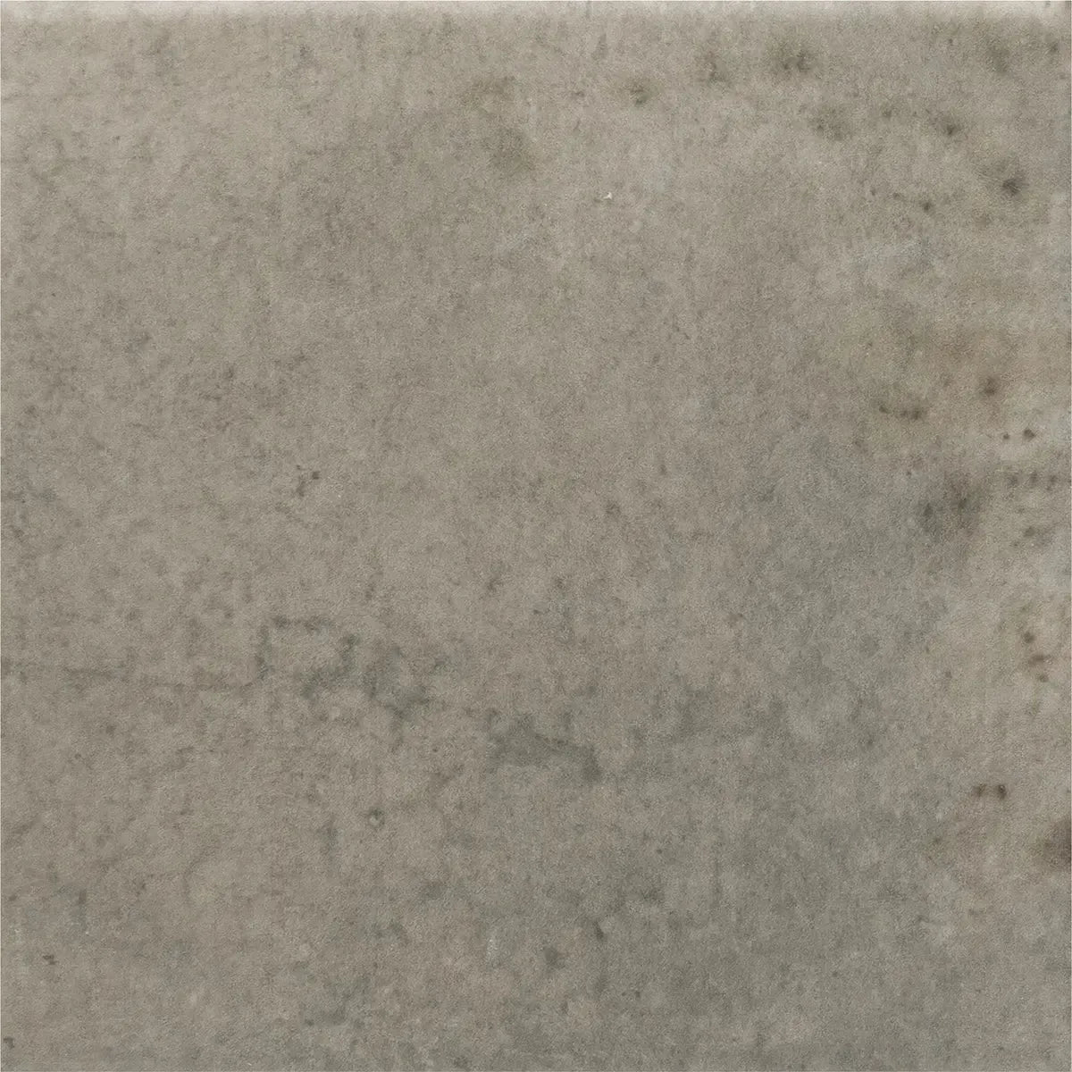 Nerida Shadow Matte 5.9" Porcelain Pool Tile | Tile Club