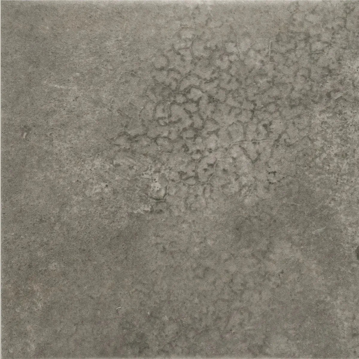 Nerida Shadow Matte 5.9" Porcelain Pool Tile | Tile Club