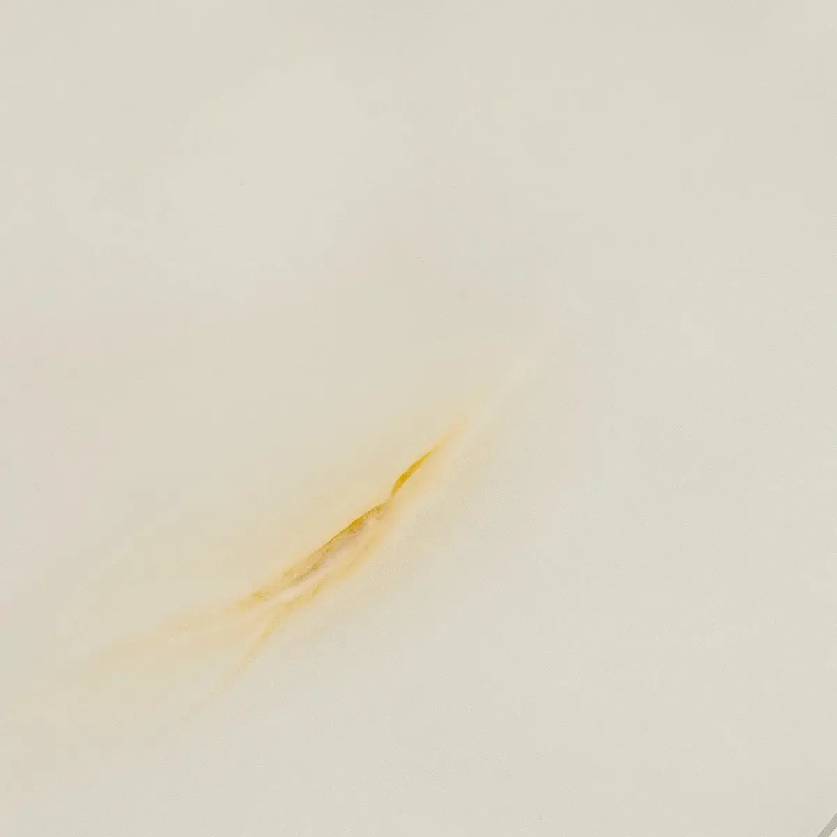 Emporio Soft White Onyx Large Format Porcelain Tile 24x48 | Tile Club