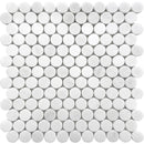 Thassos White Honed Penny Round Marble Mosaic Tile