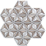 Sand Valley And Thassos Leaf Marble Mosaic Tile Sample