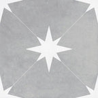 Starlight Gray and White Encaustic Porcelain Tile