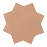 Carmel Terracotta Porcelain Star Tile