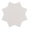 Carmel Light Gray Porcelain Star Tile Sample Piece