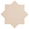 Carmel Warm Taupe Porcelain Star Tile