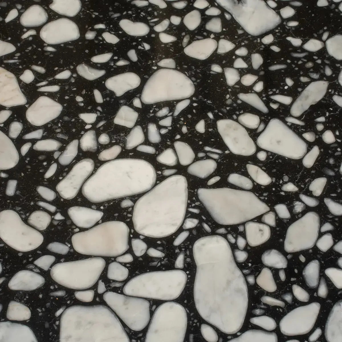 Black and White Real Terrazzo Tile 24" x 24" | Tile Club
