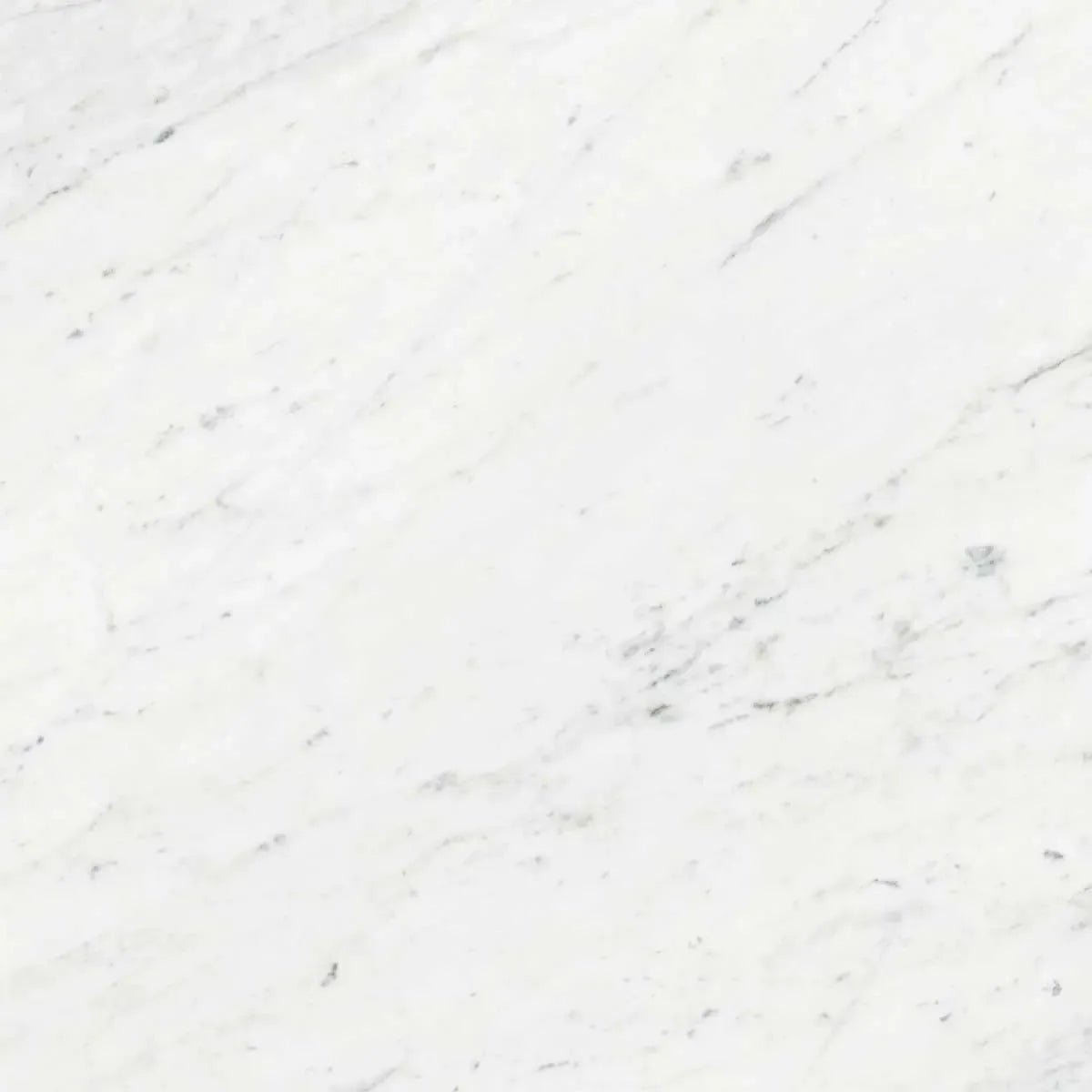 Boldara Bianco Marble Look Porcelain Tile 12x12 | Tile Club