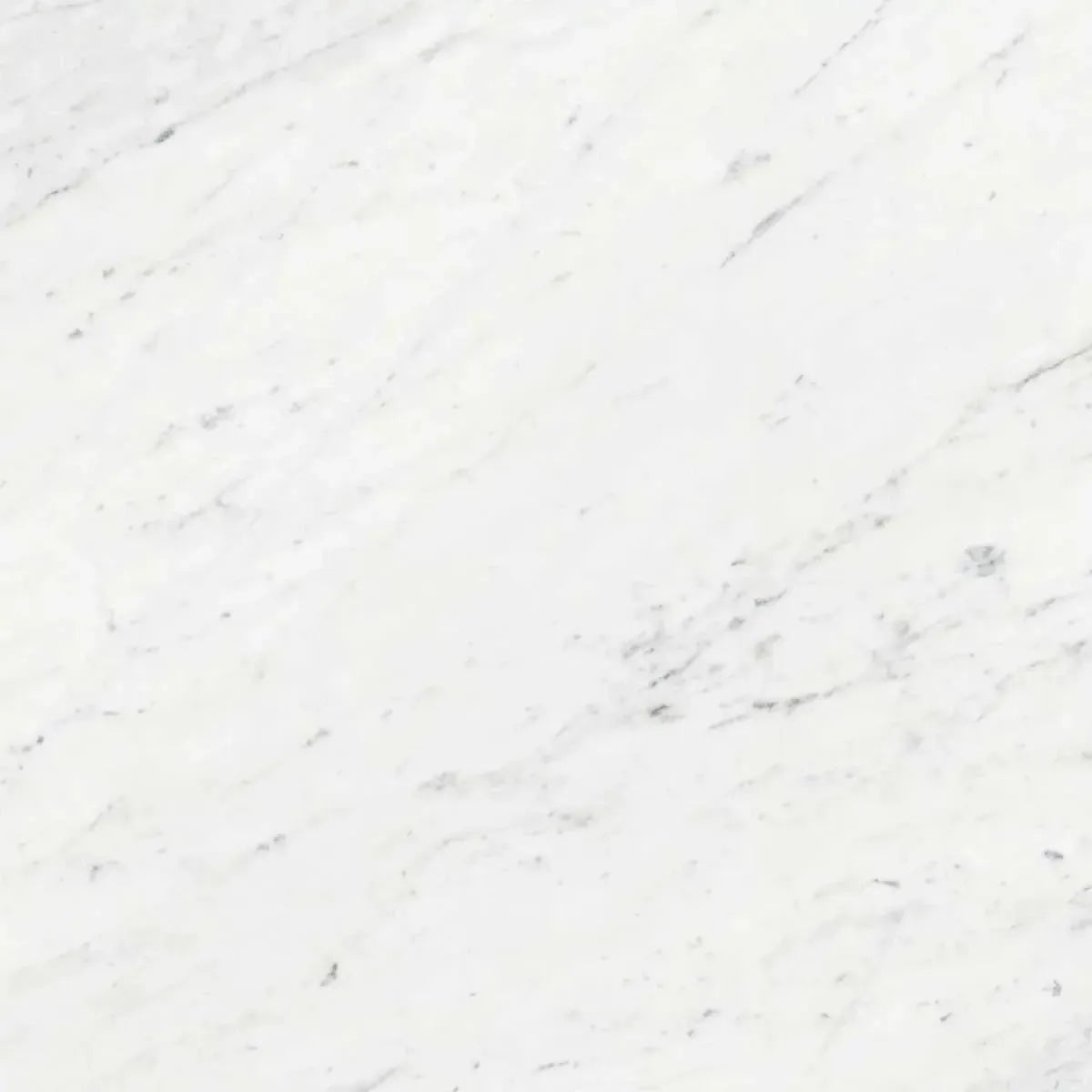 Boldara Bianco Marble Look Porcelain Tile Sample | Tile Club