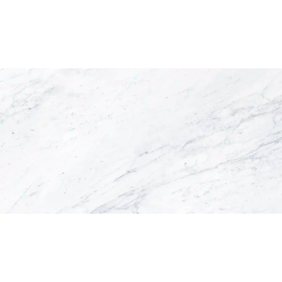 Boldara Bianco Marble Look Porcelain Tile 24x48 | Tile Club
