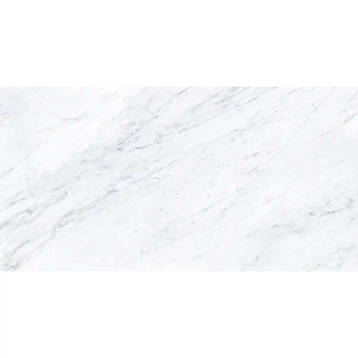 Boldara Bianco Marble Look Porcelain Tile 24x48 | Tile Club