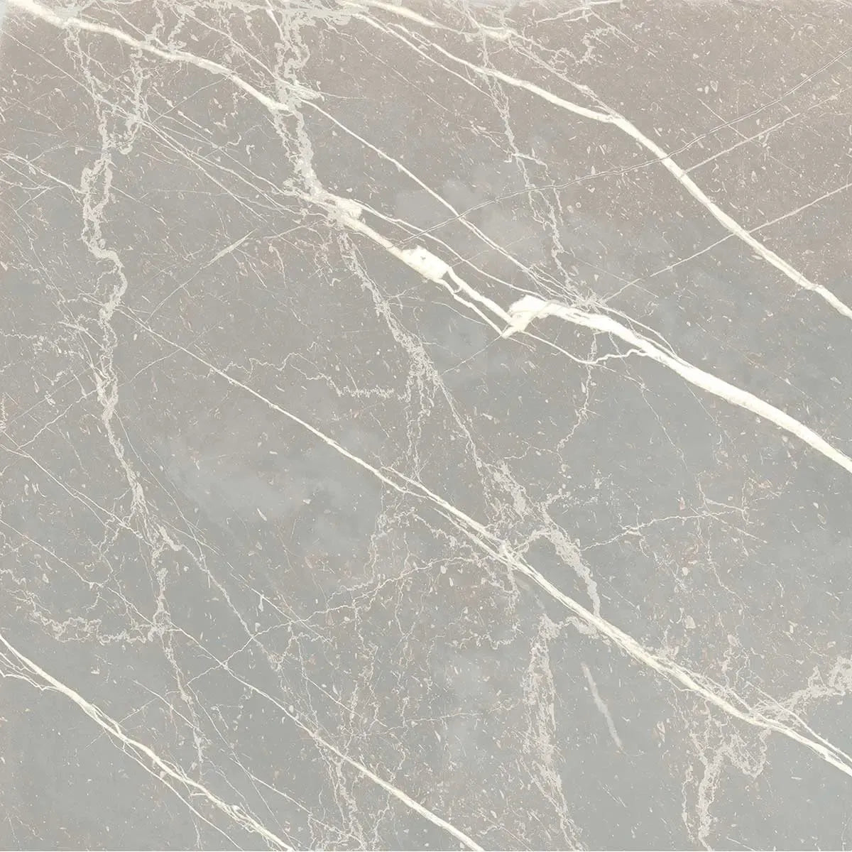Boldara Cenere Marble Look Porcelain Tile 12x12 | Tile Club