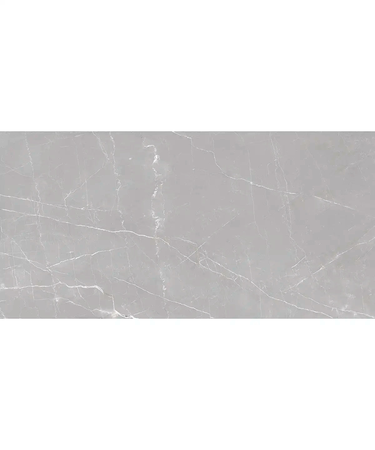 Boldara Cenere Marble Look Porcelain Tile 24x48 | Tile Club
