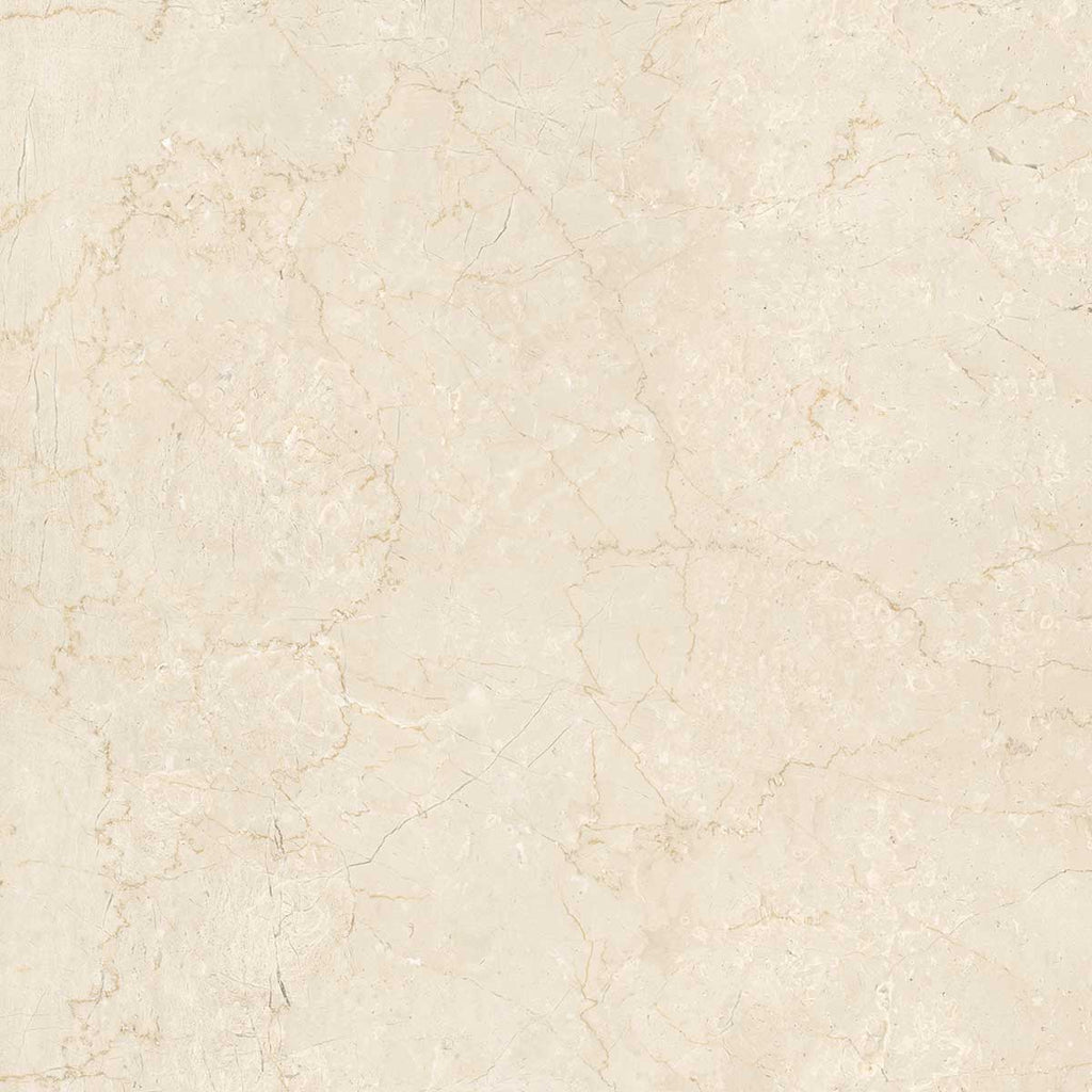 Boldara Crema Marble Look Porcelain Tile 24x24 | Tile Club