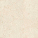 Boldara Crema Marble Look Porcelain Tile 24x24 | Tile Club