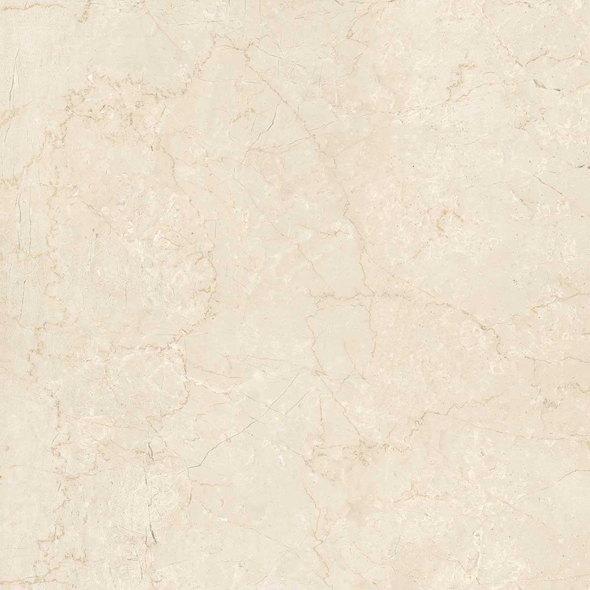 Boldara Crema Marble Look Porcelain Tile Sample 24x24 | Tile Club
