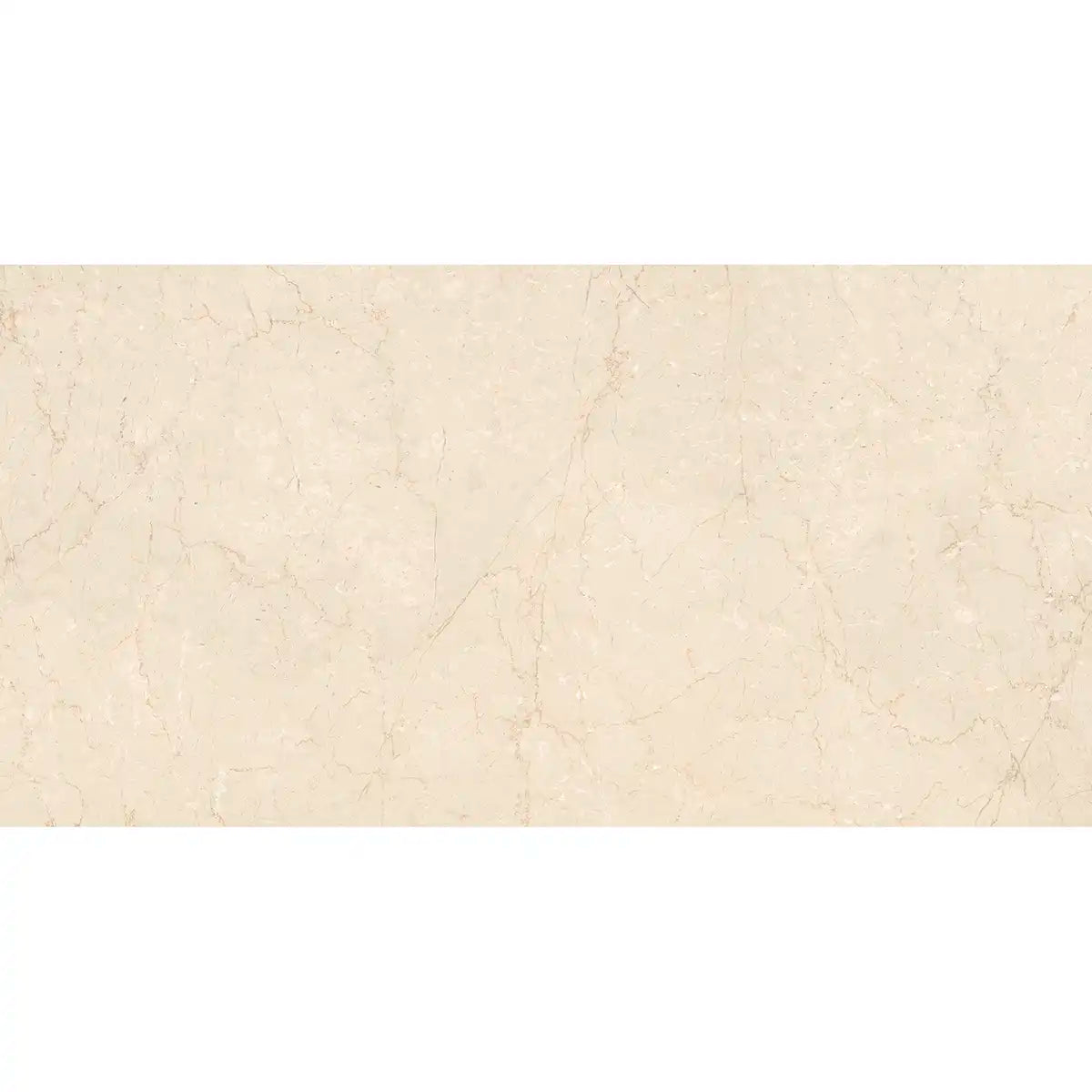 Boldara Crema Marble Look Porcelain Tile 24x48 | Tile Club