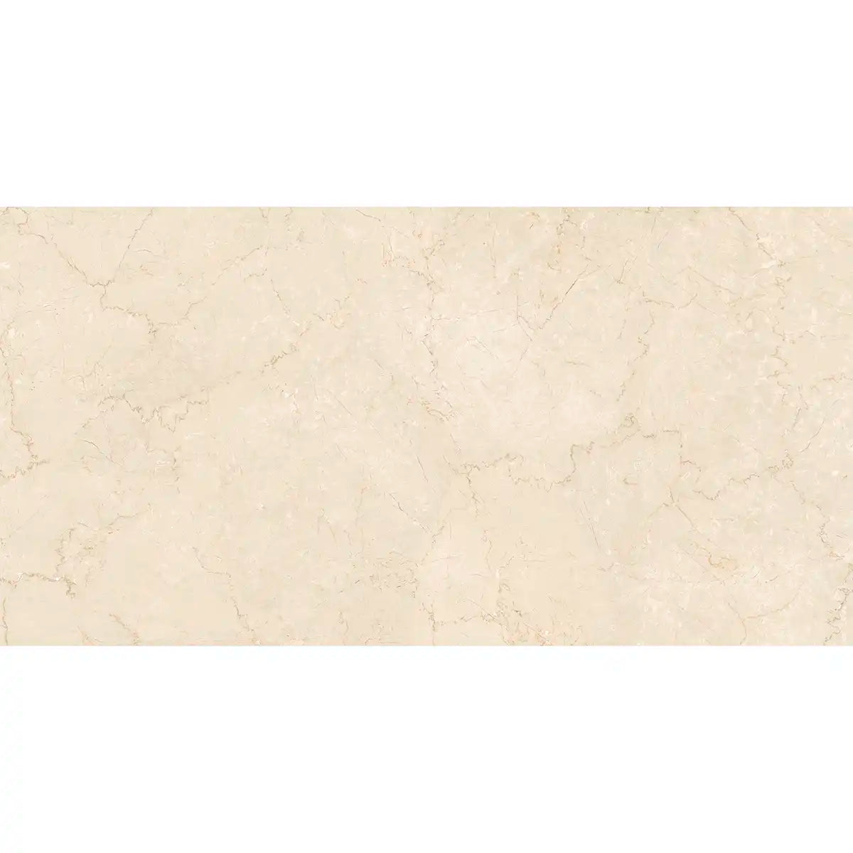 Boldara Crema Marble Look Porcelain Tile 24x48 | Tile Club