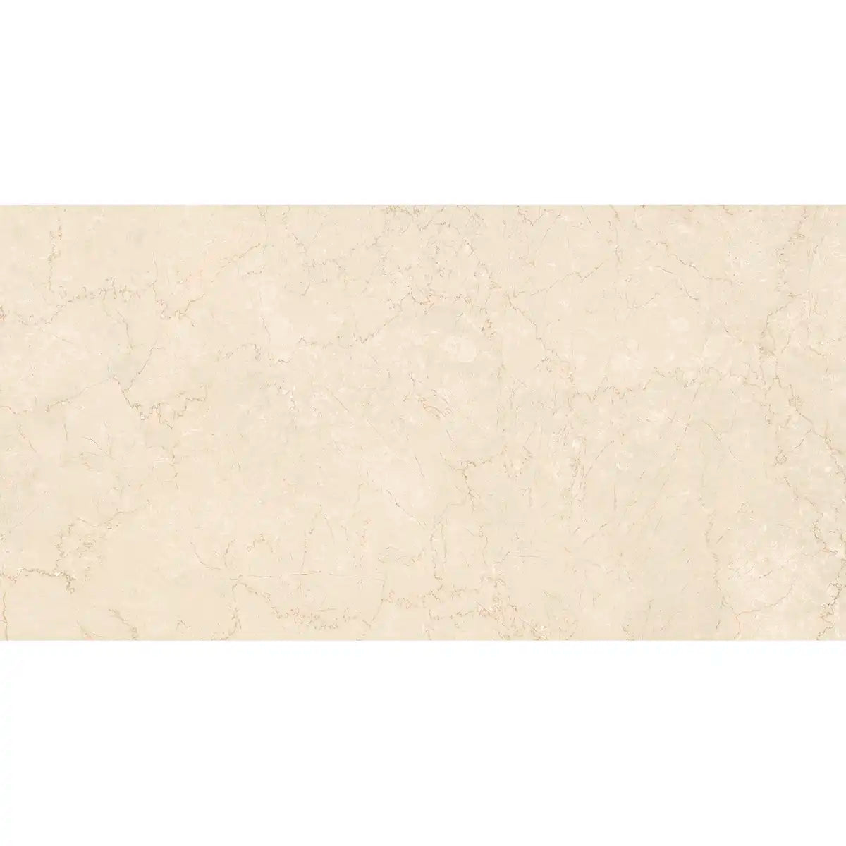Boldara Crema Marble Look Porcelain Tile 24x48 | Tile Club