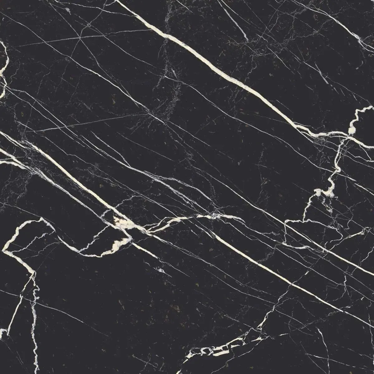 Boldara Nero Marble Look Porcelain Tile Sample | Tile Club
