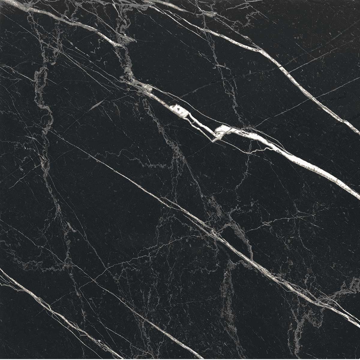 Boldara Nero Marble Look Porcelain Tile Sample 24x24 | Tile Club