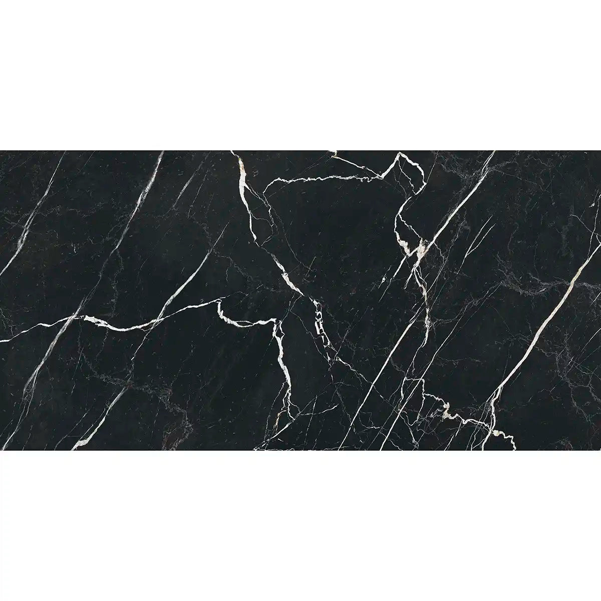 Boldara Nero Marble Look Porcelain Tile 24x48 Sample | Tile Club