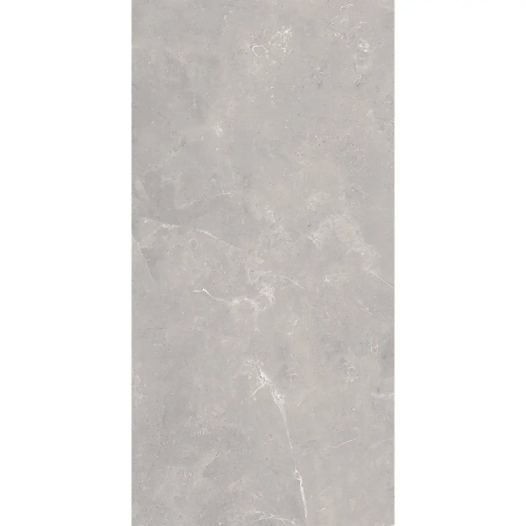 Acadia Gray Porcelain Tile 12x24 | Tile Club