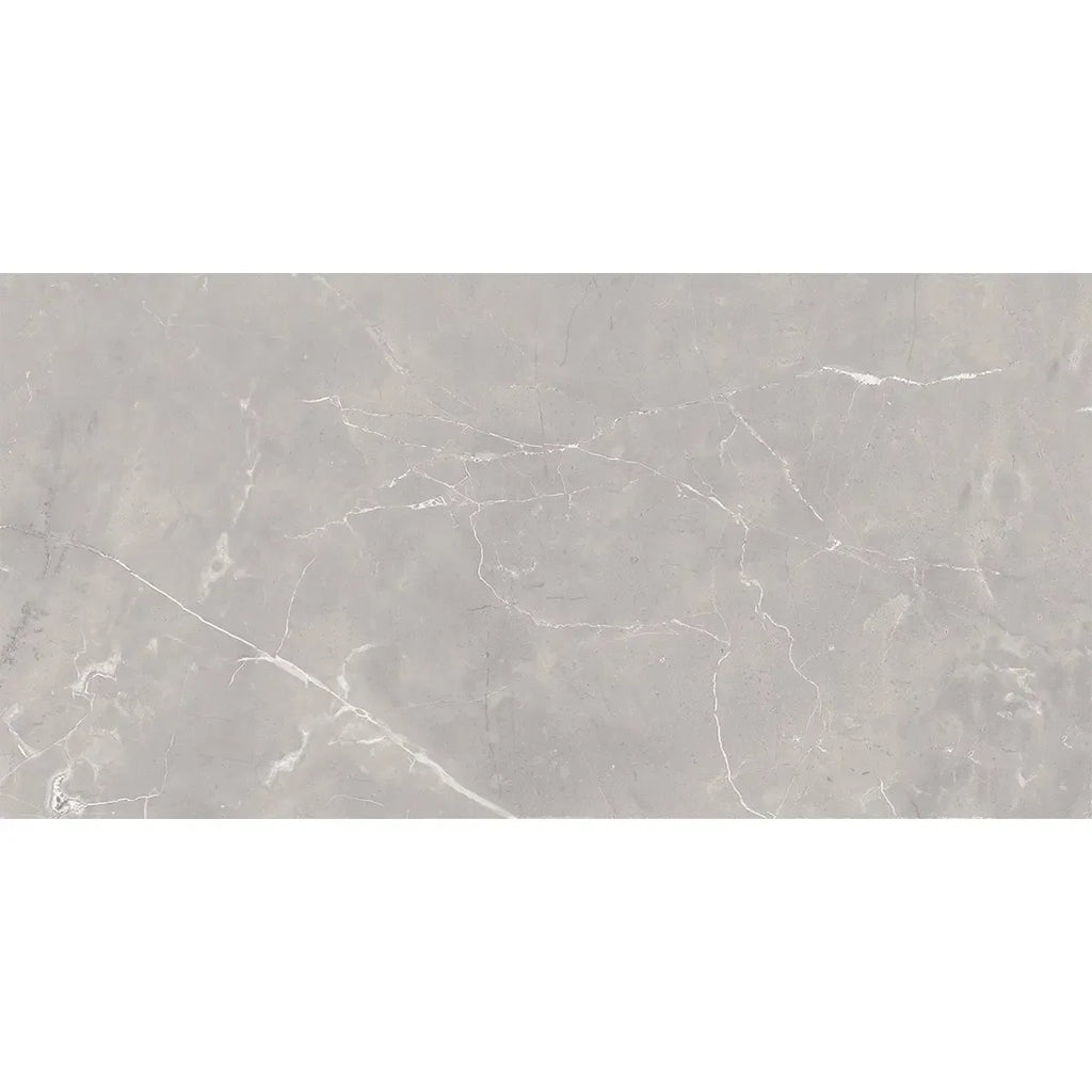 Acadia Gray Porcelain Tile 12x24 | Tile Club