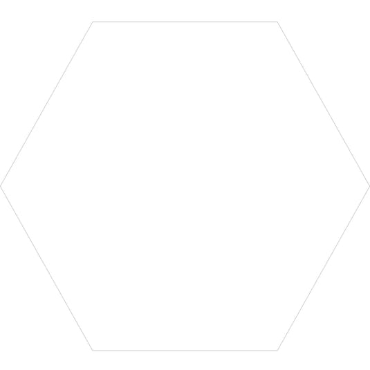 Acadia White Hexagon Tile | Tile Club