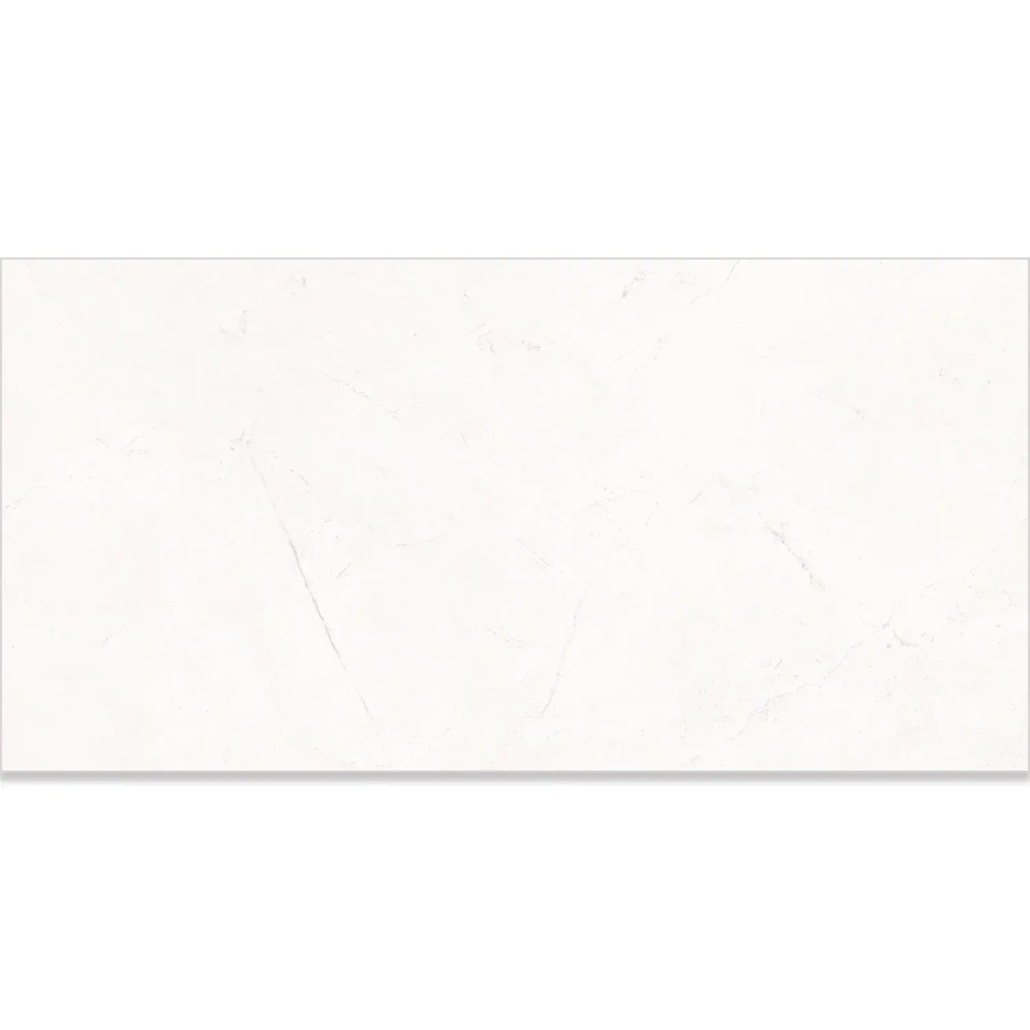 Acadia White Porcelain Tile 12x24 | Tile Club