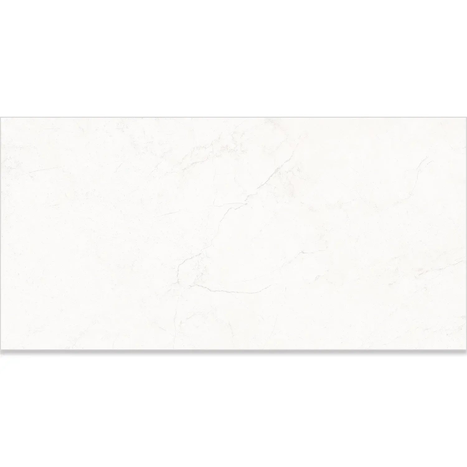 Acadia White Porcelain Tile 12x24 | Tile Club