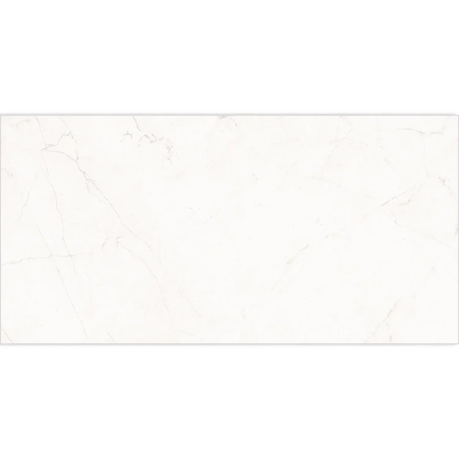 Acadia White Porcelain Tile 12x24 | Tile Club