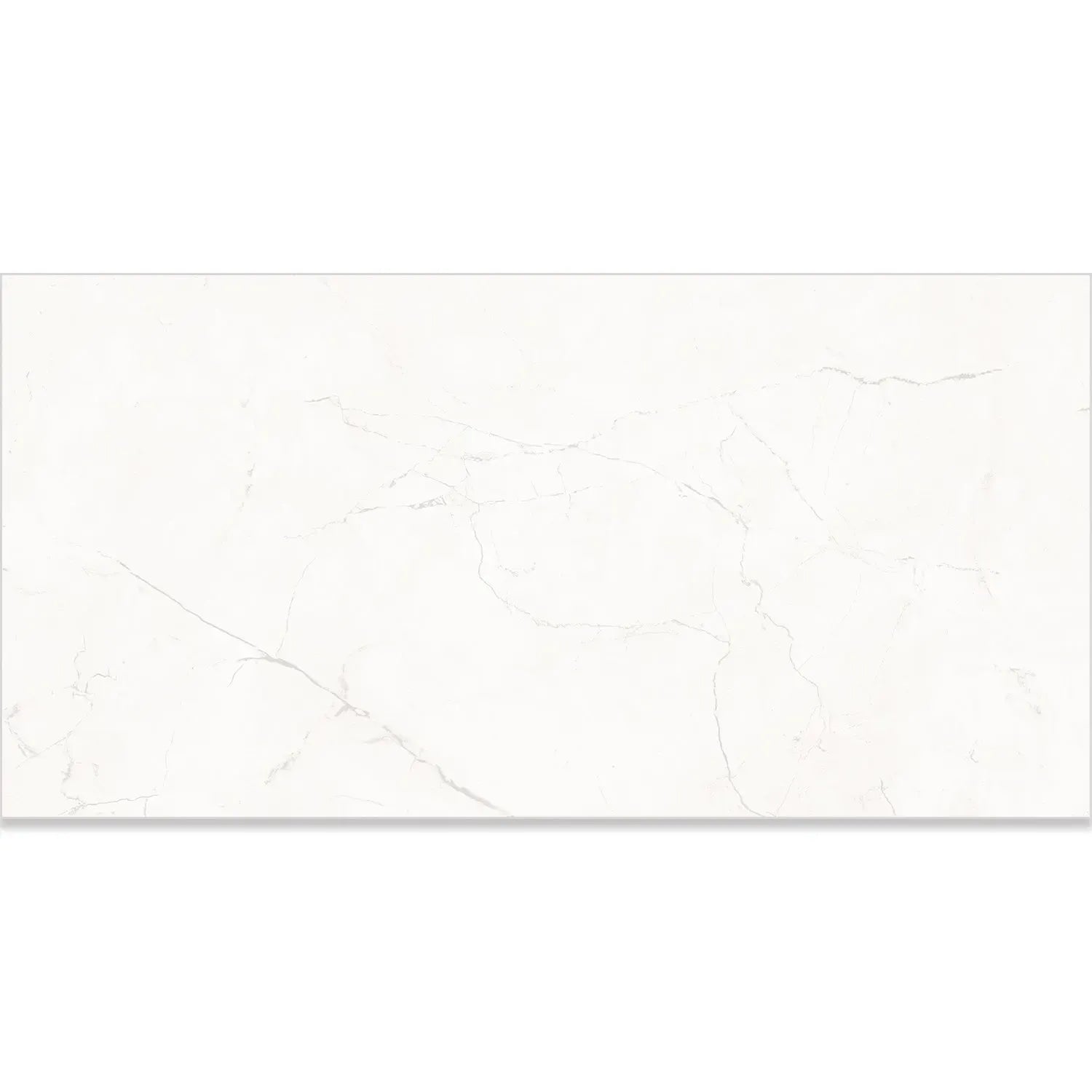 Acadia White Porcelain Tile 12x24 | Tile Club