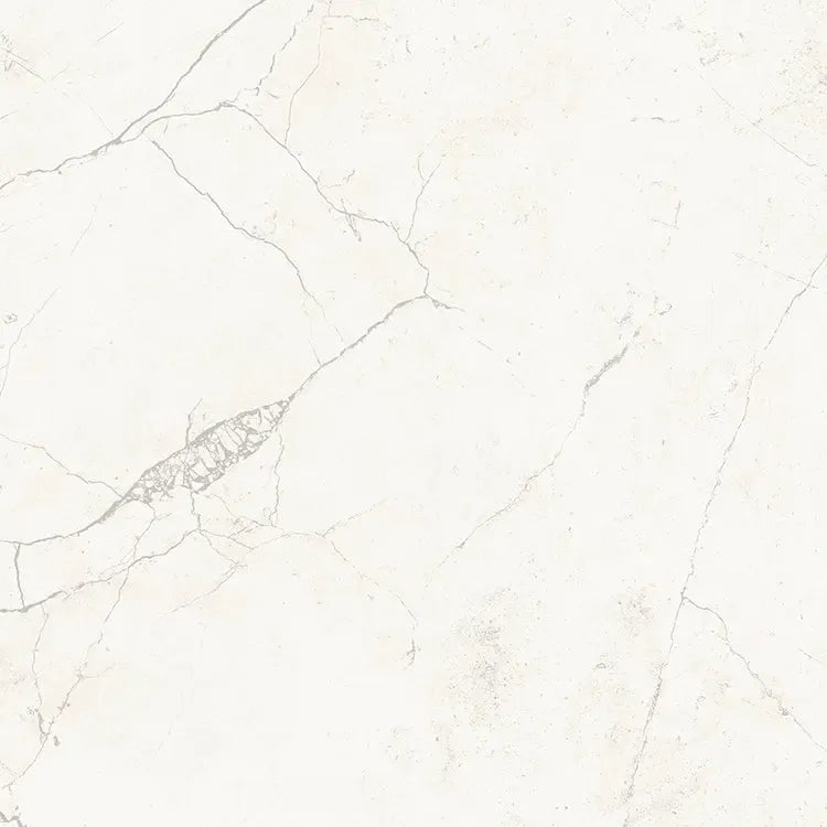 Acadia White Porcelain Tile 12x24 | Tile Club