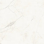 Acadia White Porcelain Tile 12x24 | Tile Club