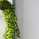 Ash Grey Squares Glass Pool Tile | Tile Club