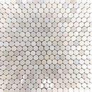 White Marble Large Penny Round Tile Polished | Tile Club