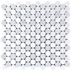 Azul Cielo Thassos And Paper White Penny Rounds Marble Mosaic Tile Polished | 11.2" x 11.5"