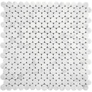 Bianco Carrara Penny Round Honed Marble Tile Sample