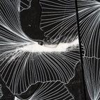 Bluma Gingko Black Etched Marble Mosaic | Tile Club